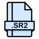 SR2转JPG